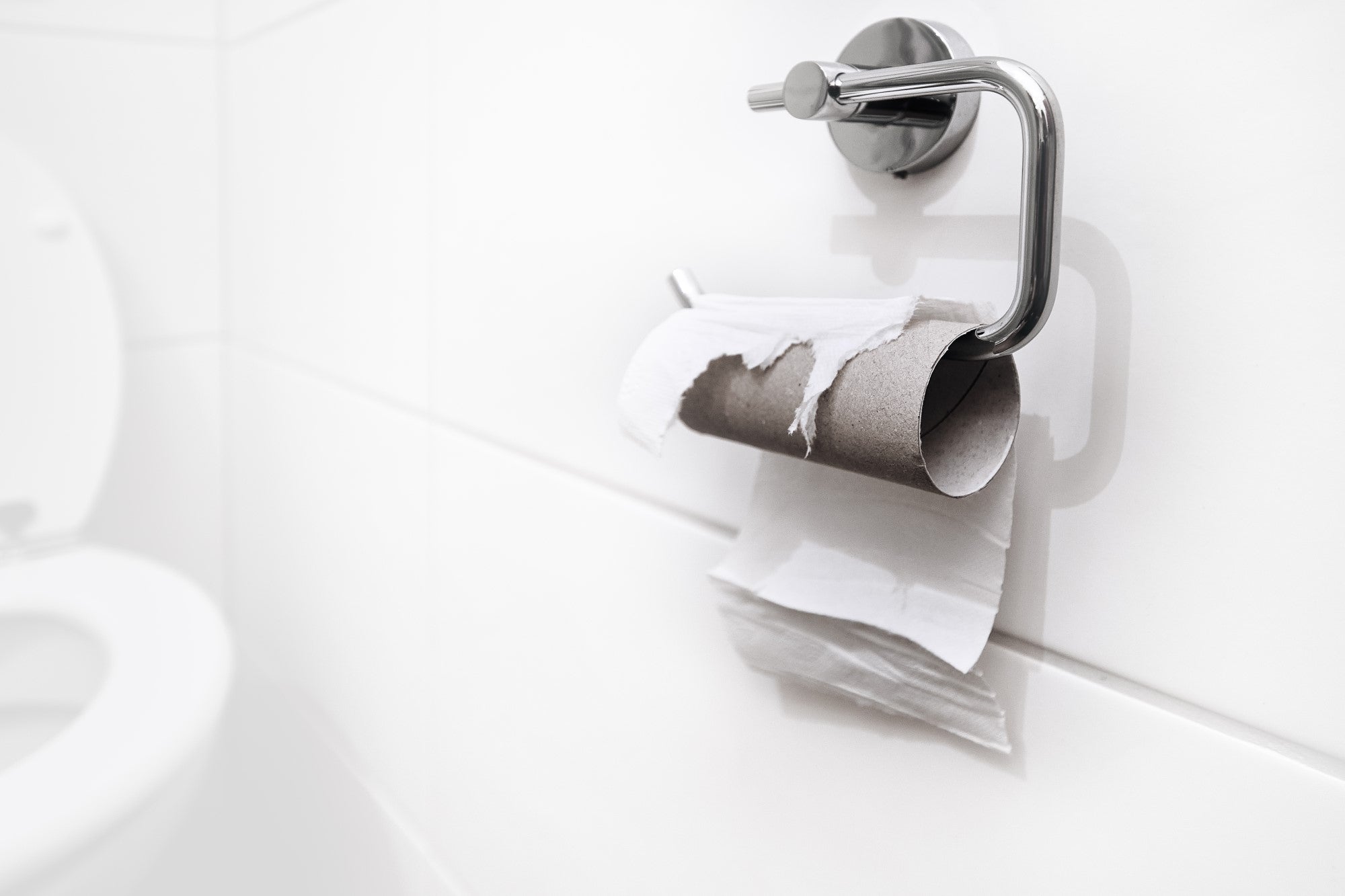 no toilet paper