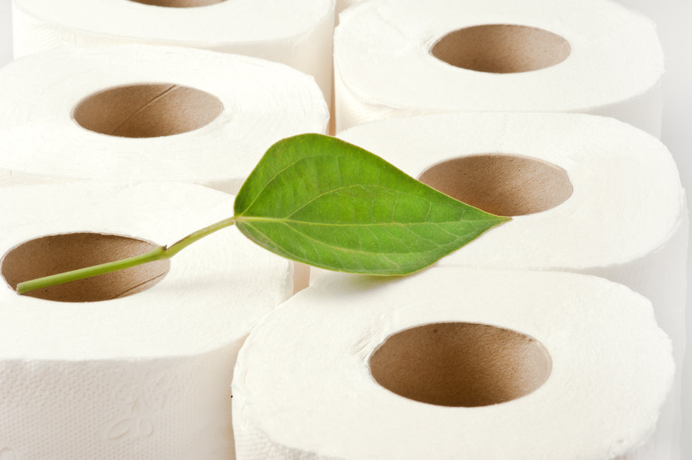 Bidets and Eco-Friendliness: Toilet Paper Concerns