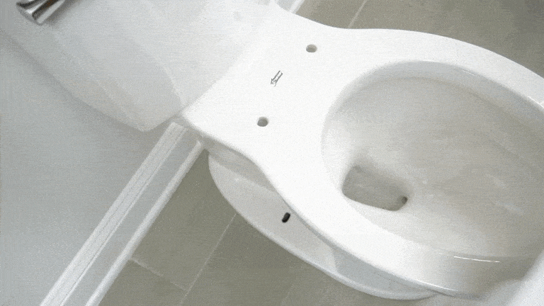 GenieClassic Bidet Attachment