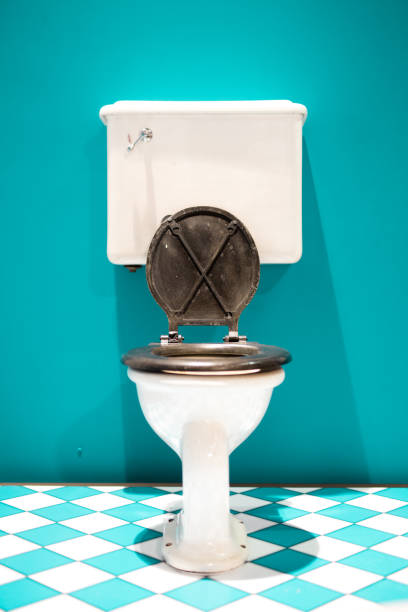Why America Refused the Bidet Attachment
